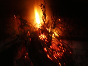 Foto Vlatka : ogenj